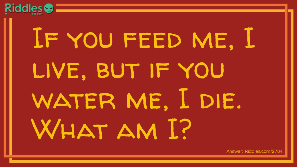 If you feed me, I live, but if you water me, I die. What am I?