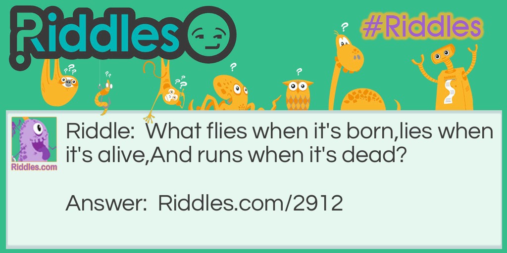What flies when it's born, lies when it's alive, And runs when it's dead? Riddle Meme.