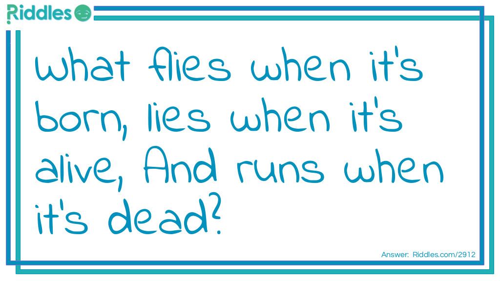 What flies when it's born, lies when it's alive, And runs when it's dead? Riddle Meme.