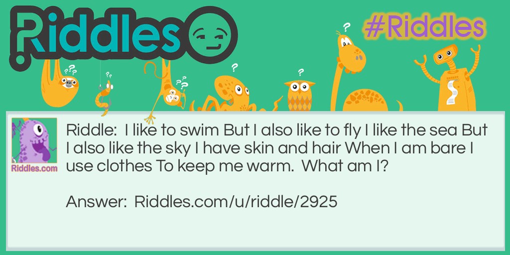 I like to swim But I also like to fly I like the sea But I also like the sky I have skin and hair When I am bare I use clothes To keep me warm.  What am I?