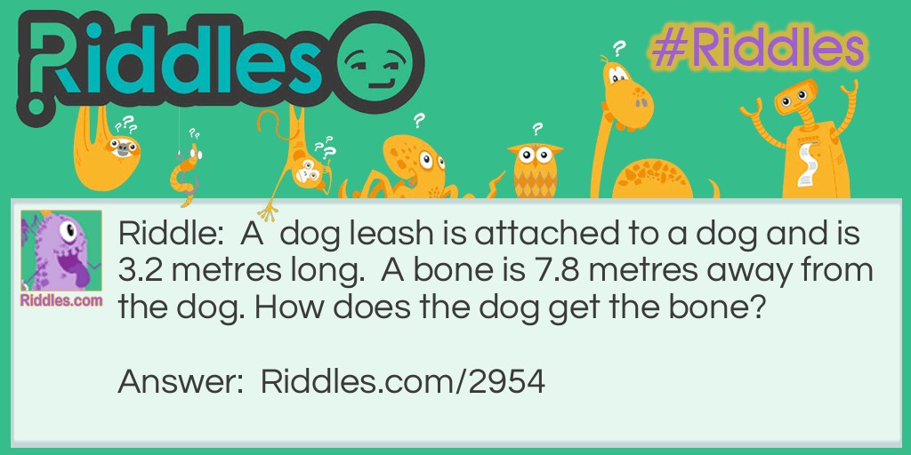 A dog leash is attached to a dog and is 3.2 metres long. A bone is 7.8 metres away from the dog. How does the dog get the bone?