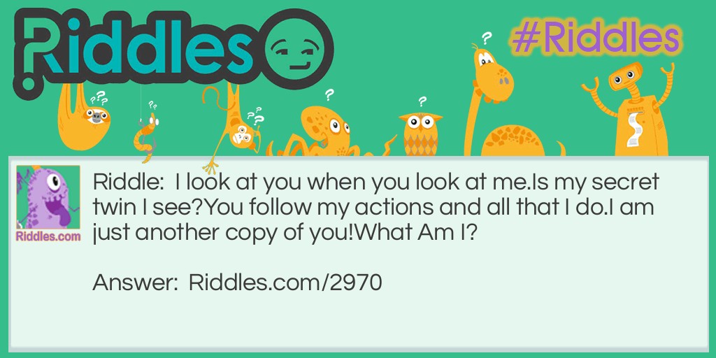 I look at you when you look at me. Is my secret twin I see? You follow my actions and all that I do. I am just another copy of you! What am I?