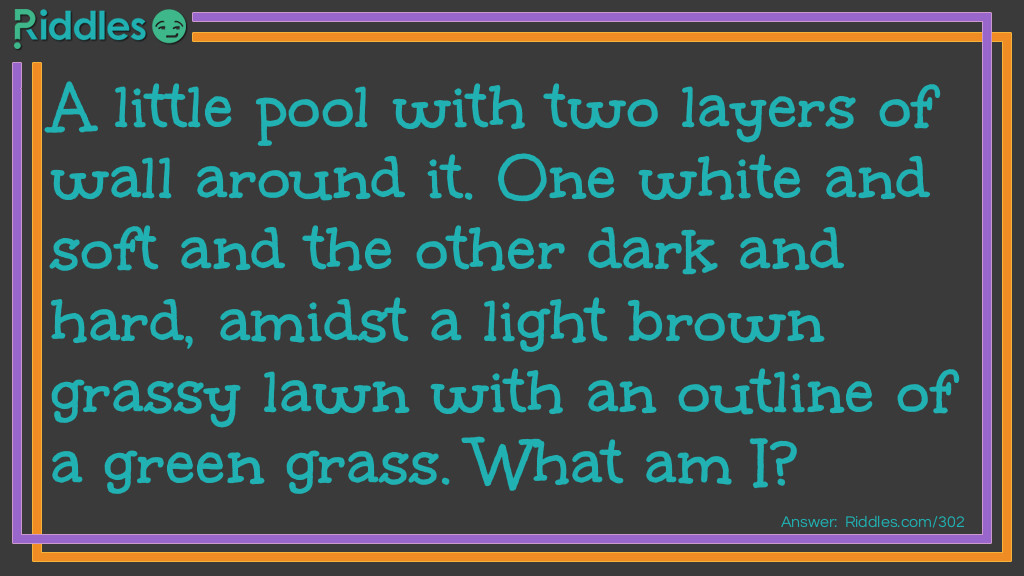 A little pool with two layers of wall around it. One white and soft and the other dark and hard, amidst a light brown grassy lawn with an outline of green grass. What am I?