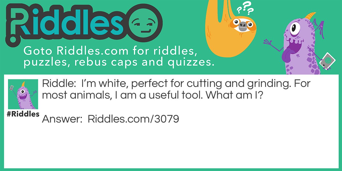 Riddle: I'm white, perfect for cutting and grinding. For most animals, I am a useful tool. What am I? Answer: Teeth.
