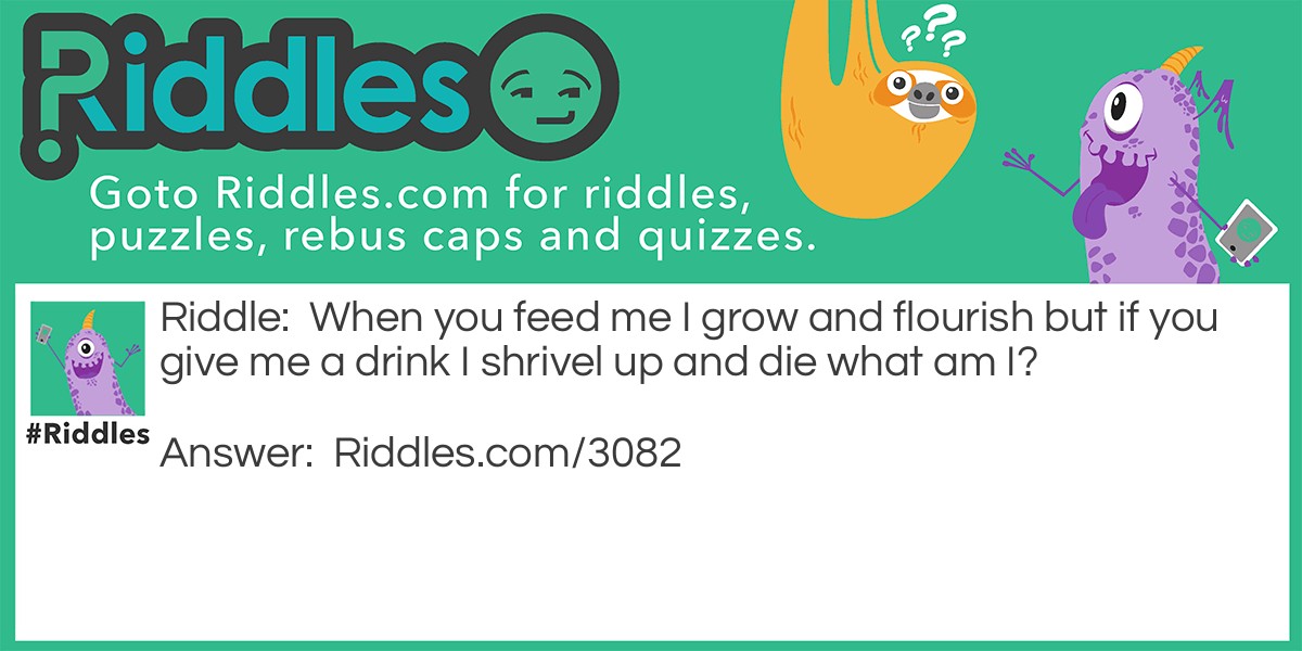 When you feed me I grow and flourish but if you give me a drink I shrivel up and die what am I?