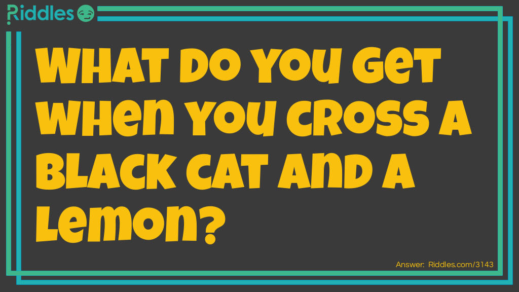 What do you get when you cross a black cat and a lemon?