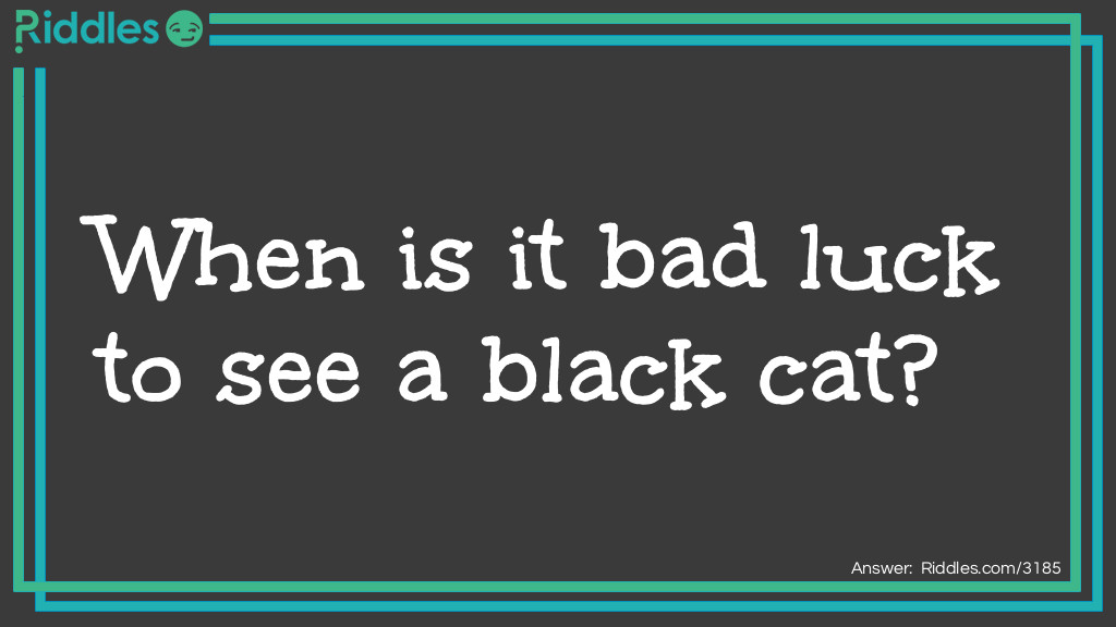 Riddle: When is it bad luck to see a black cat? Answer: When you are a mouse.