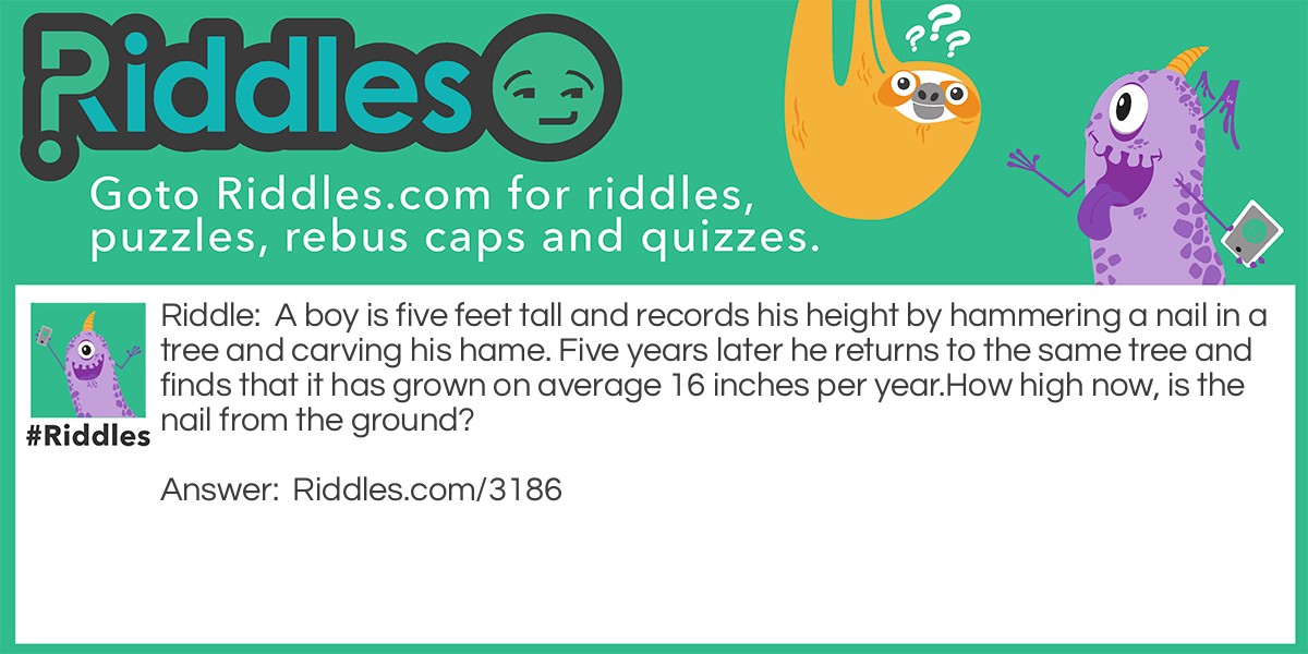 A boy is five feet tall and records his height by hammering a nail in a tree and carving his hame. Five years later he returns to the same tree and finds that it has grown on average 16 inches per year.
How high now, is the nail from the ground?