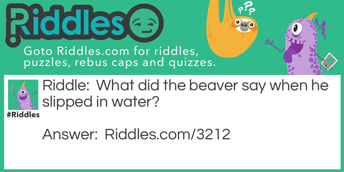 What did the beaver say when he slipped in water?