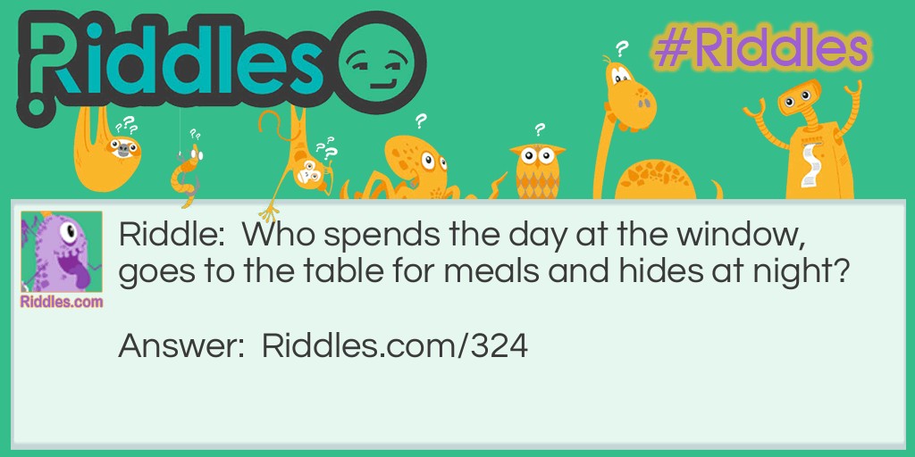 Who spends the day at the window, goes to the table for meals and hides at night?