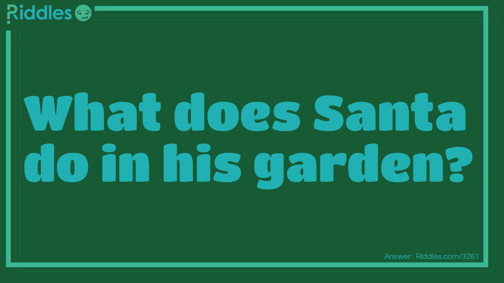 Christmas Riddles: What does Santa do in his garden? Answer: Ho Ho Ho!