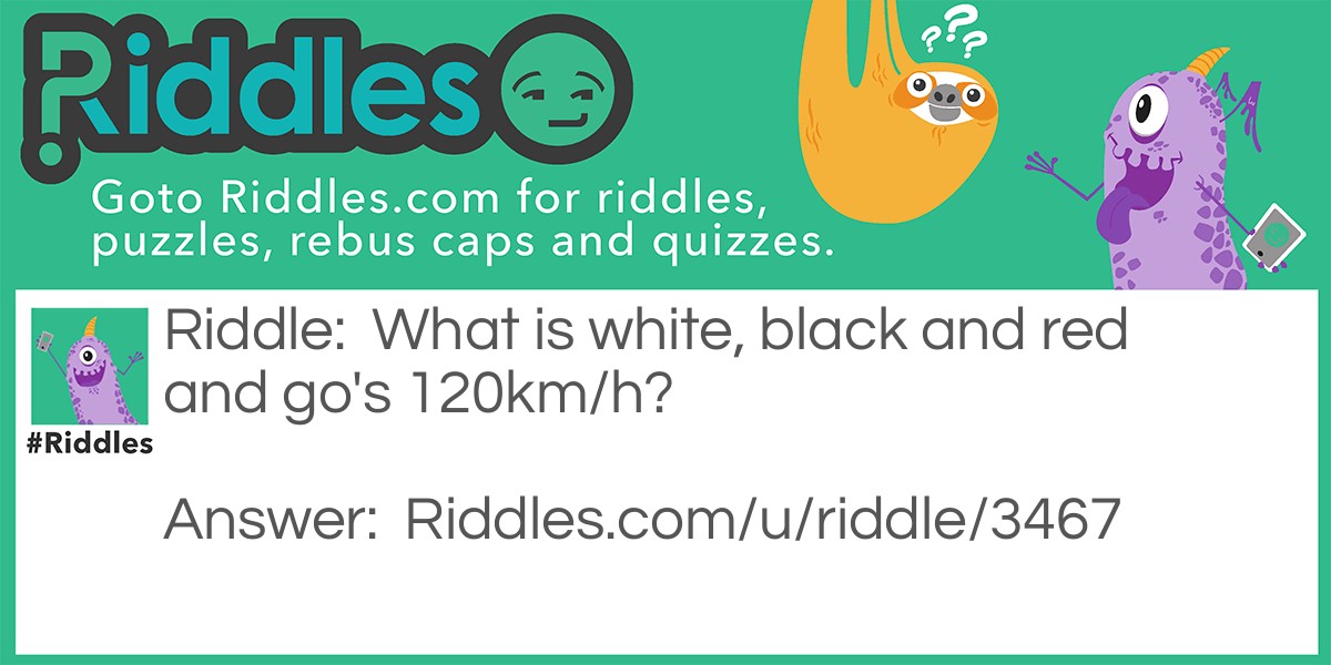What is white, black and red and go's 120km/h?
