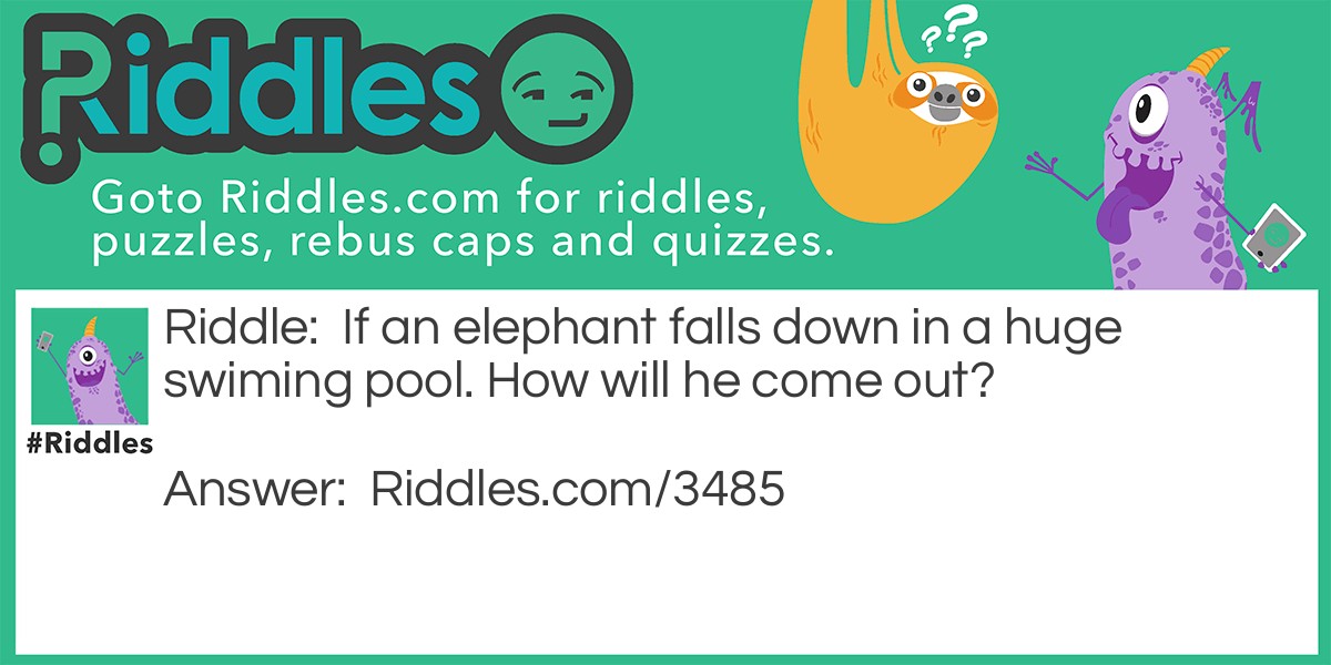 Elephant & swiming pool Riddle Meme.