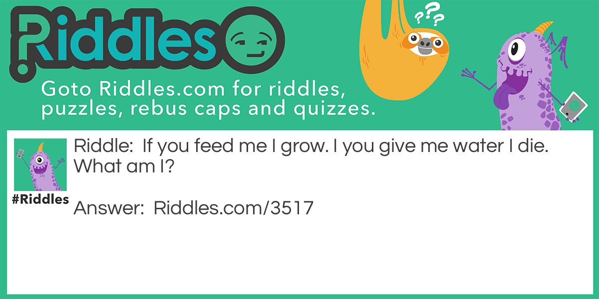 If you feed me I grow. I you give me water I die. What am I?