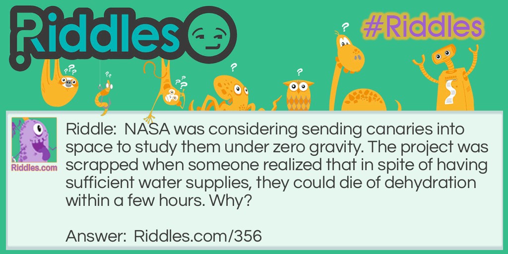 NASA was considering sending canaries into space to study them under zero gravity. The project was scrapped when someone realized that in spite of having sufficient water supplies, they could die of dehydration within a few hours. Why?