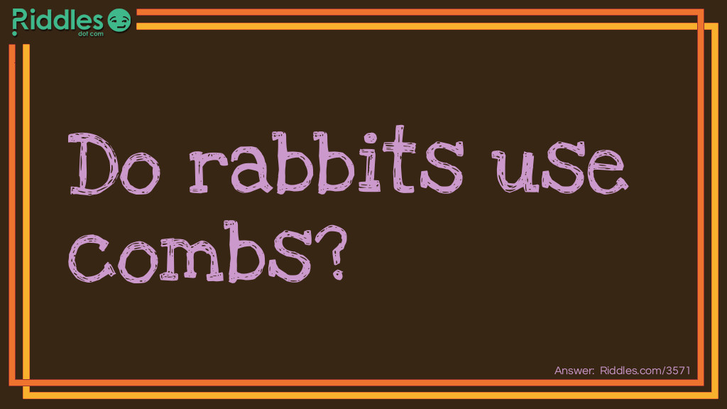 Riddle: Do rabbits use combs? Answer: No, they use hare brushes.