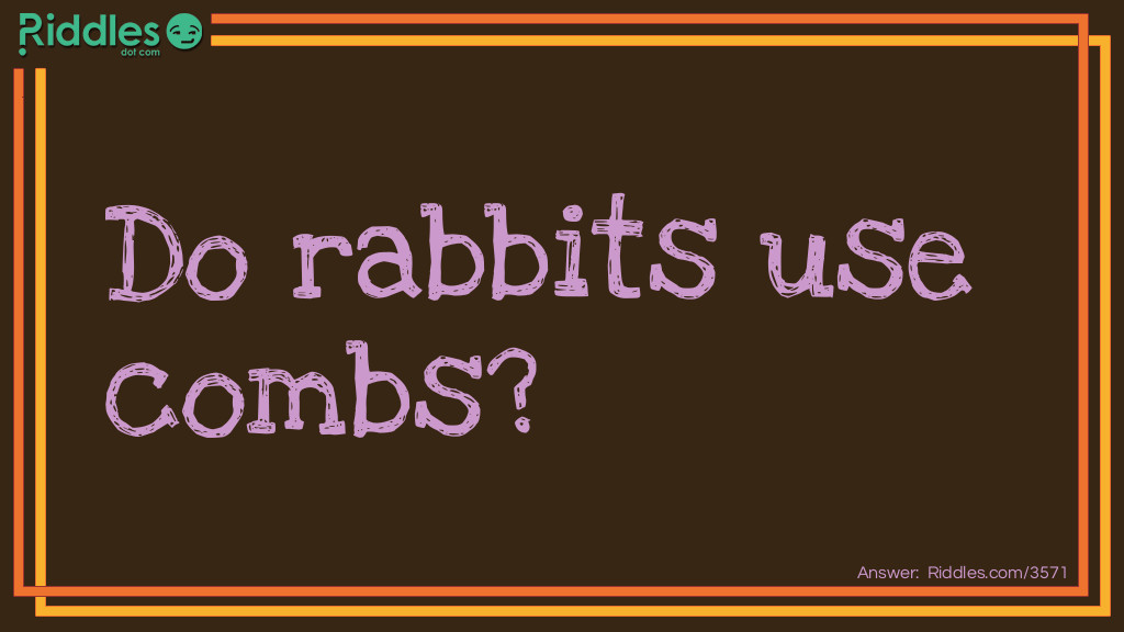 Click to see riddle Rabbit hair do answer.