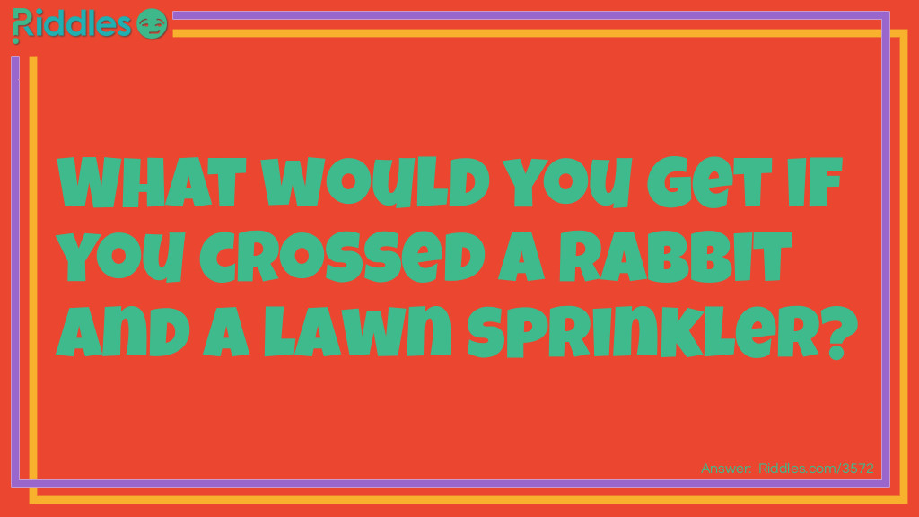 What would you get if you crossed a rabbit and a lawn sprinkler? Riddle Meme.