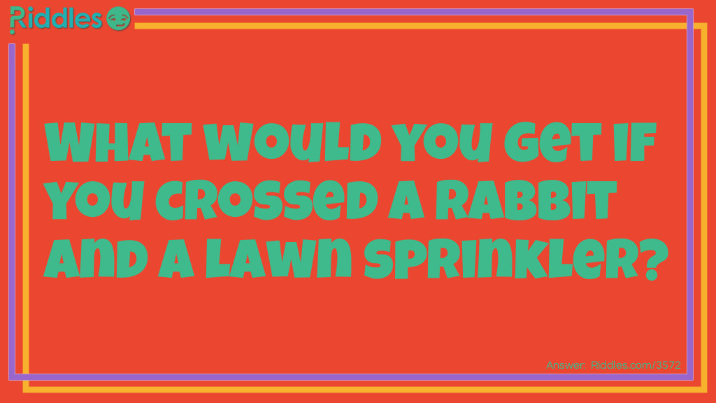 What would you get if you crossed a rabbit and a lawn sprinkler?