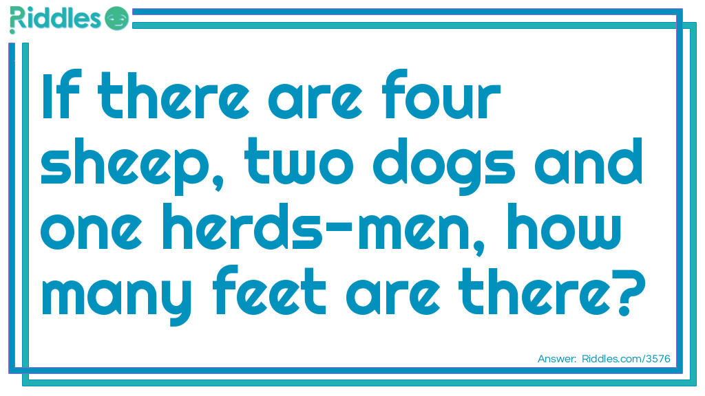 If there are four sheep two dogs and one herds-men Riddle Meme.