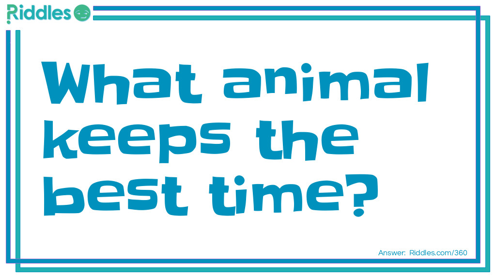 Click to see riddle Animal Time answer.