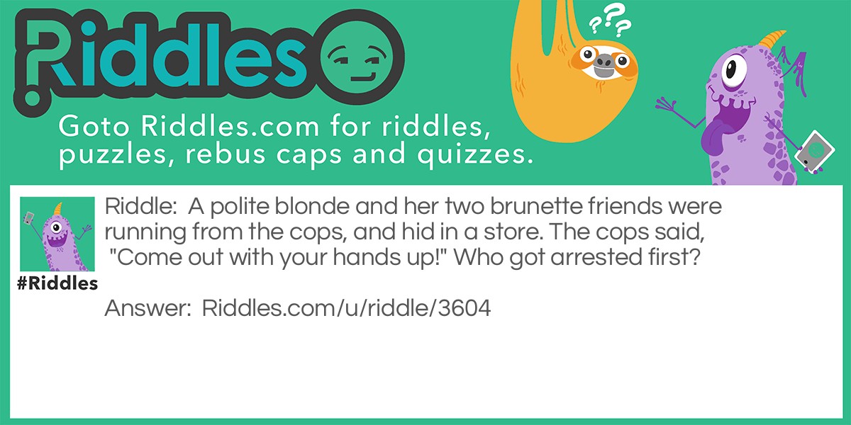 Blondes - Arrested Riddle Meme.