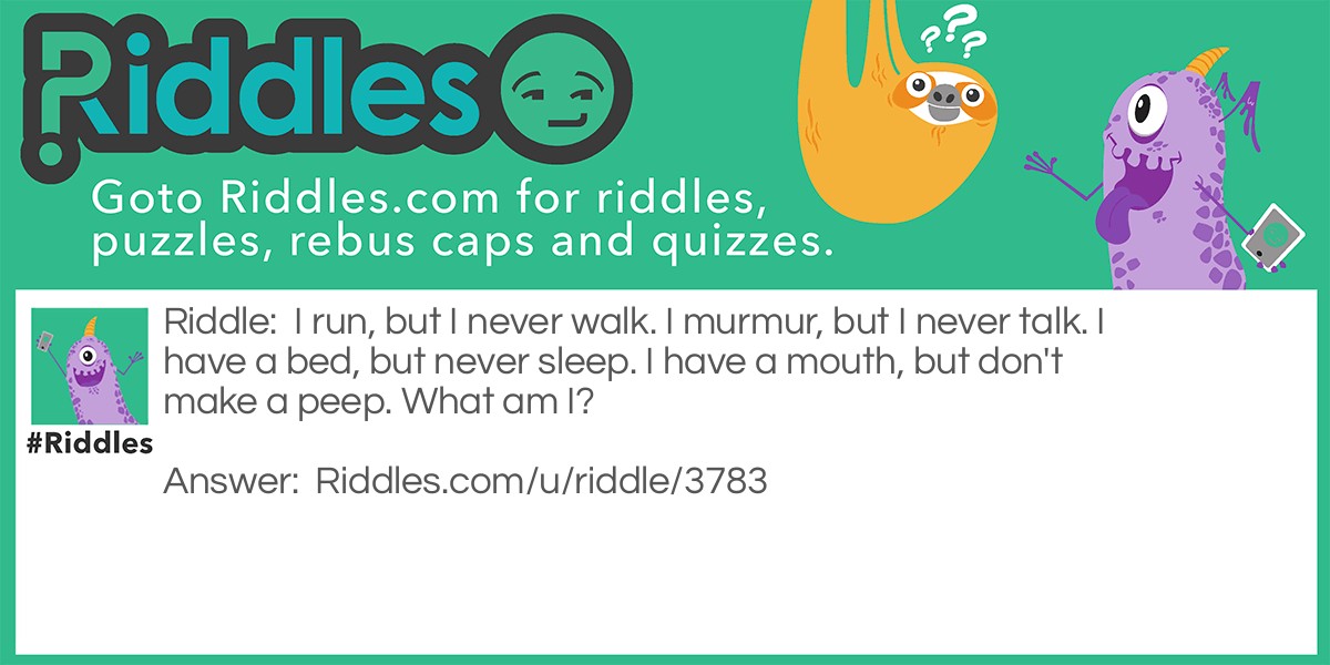 I run, but I never walk. I murmur, but I never talk. I have a bed, but never sleep. I have a mouth, but don't make a peep. What am I?