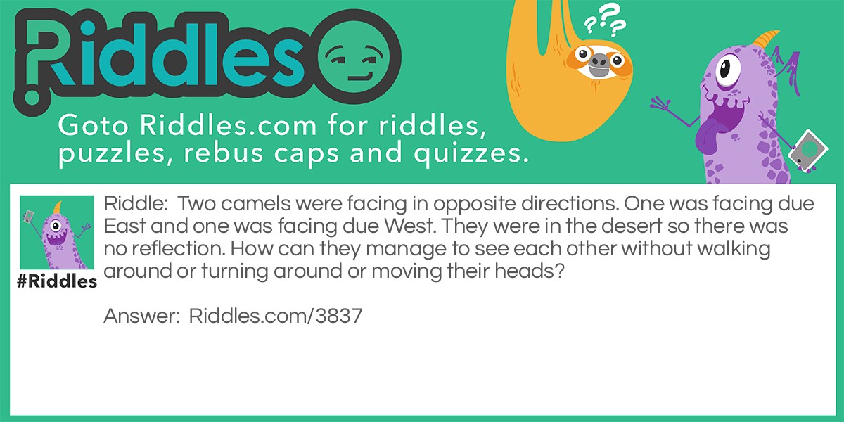 Two camels were facing in opposite directions. One was facing due East and one was facing due West. They were in the desert so there was no reflection. How can they manage to see each other without walking around or turning around or moving their heads? 