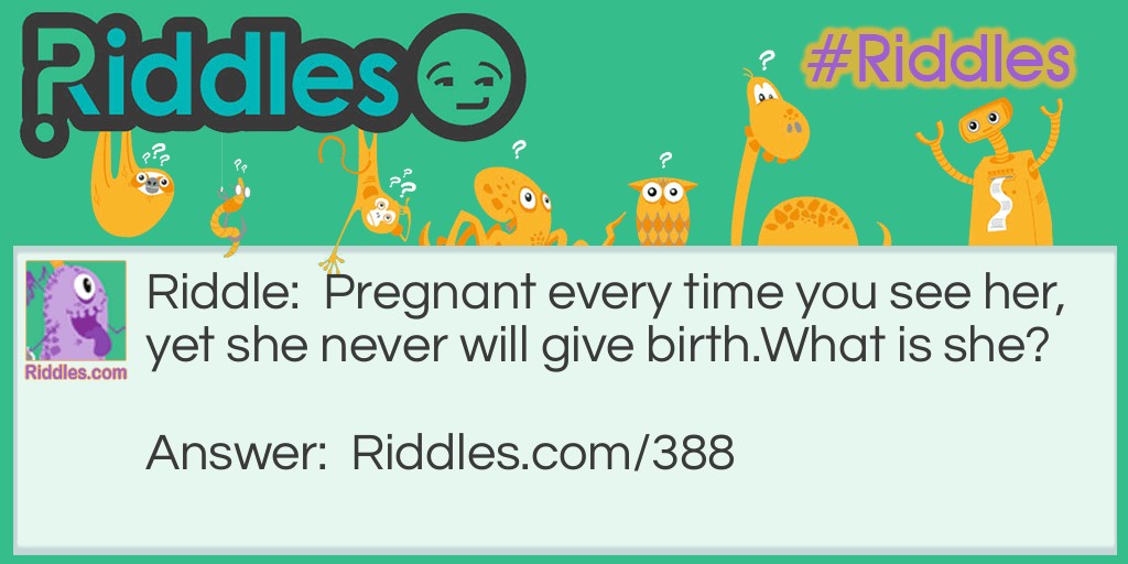 Pregnancy Alert Riddle Meme.