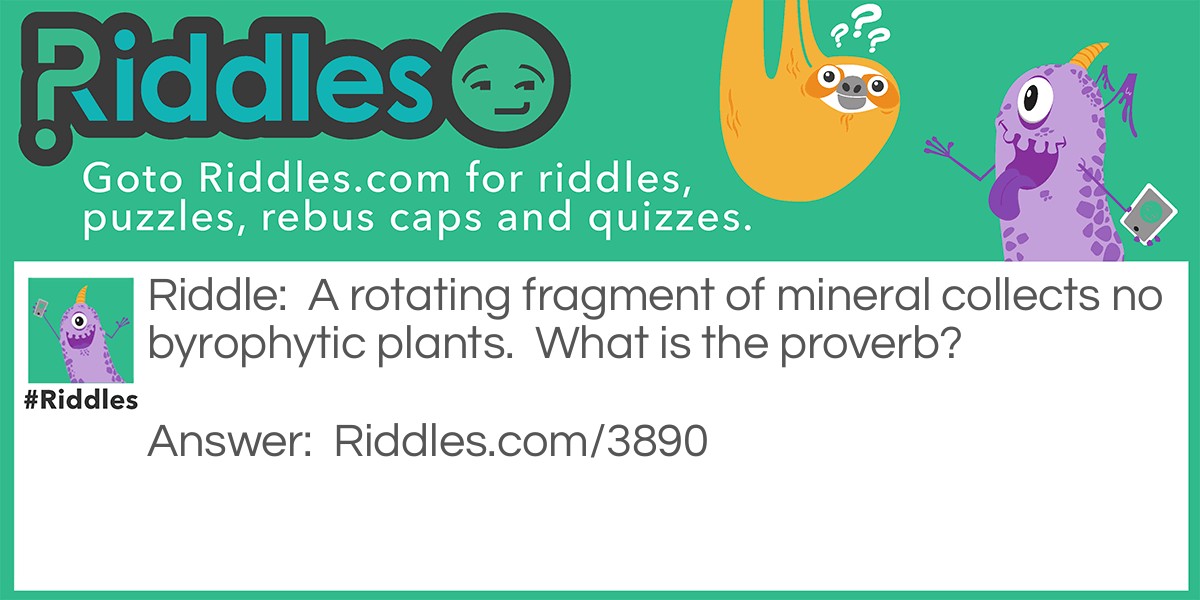 Riddle proverb I: A rotating fragment of mineral collects no byrophytic plants Riddle Meme.