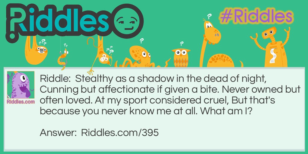 Riddle: Stealthy as a shadow in the dead of night, 
Cunning but affectionate if given a bite. 
Never owned but often loved. 
At my sport considered cruel, 
But that's because you never know me at all. 

What am I?  Answer: A cat.