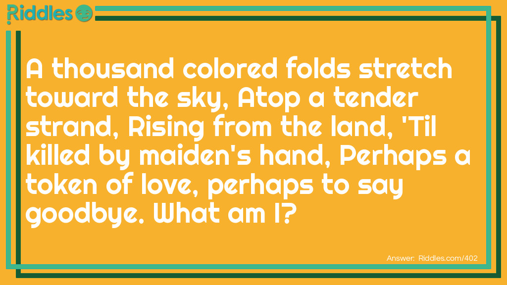 Riddle: A thousand colored folds stretch toward the sky, Atop a tender strand, Rising from the land, 'Til killed by maiden's hand, Perhaps a token of love, perhaps to say goodbye. What am I? Answer: A flower.