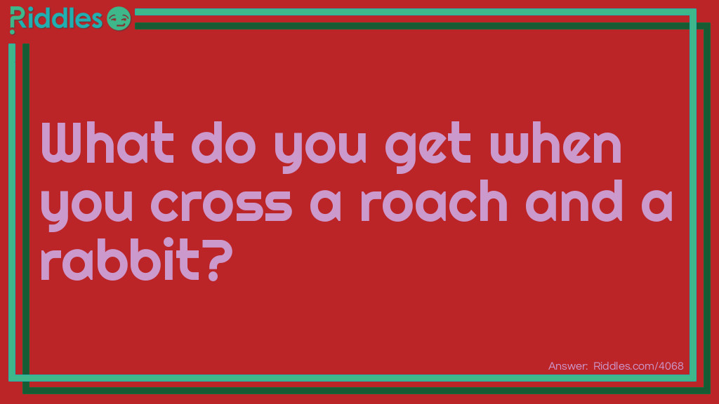 Riddle: What do you get when you cross a roach and a rabbit? Answer: Bugs Bunny.