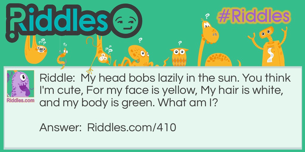 Riddle: My head bobs lazily in the sun. You think I'm cute, For my face is yellow, My hair is white, and my body is green. What am I? Answer: A daisy.