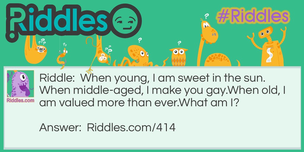 When young, I am sweet in the sun.
When middle-aged, I make you gay.
When old, I am valued more than ever.
What am I?