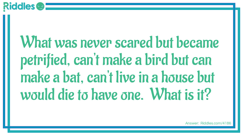 What was never scared but became petrified, can't make a bird but can make a bat, can't live in a house but would die to have one.  What is it?