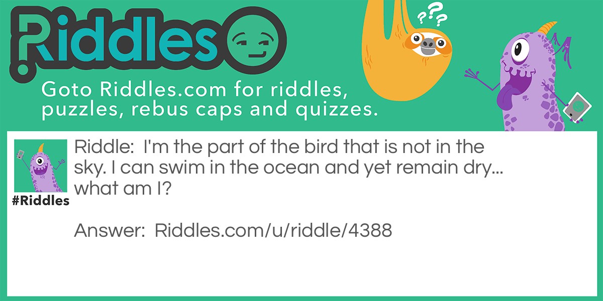 I'm the part of the bird that is not in the sky. I can swim in the ocean and yet remain dry... what am I?