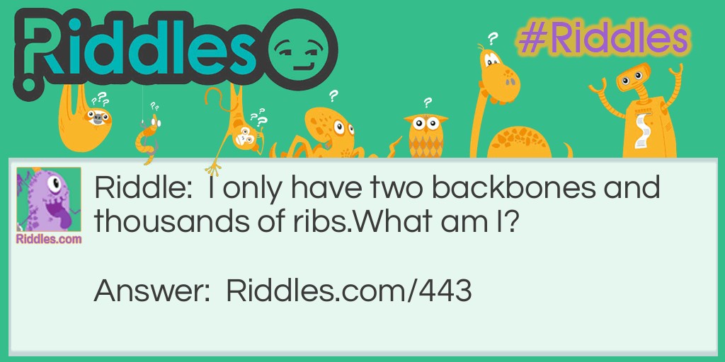 Riddle: I only have two backbones and thousands of ribs. 
What am I? Answer: A railroad.