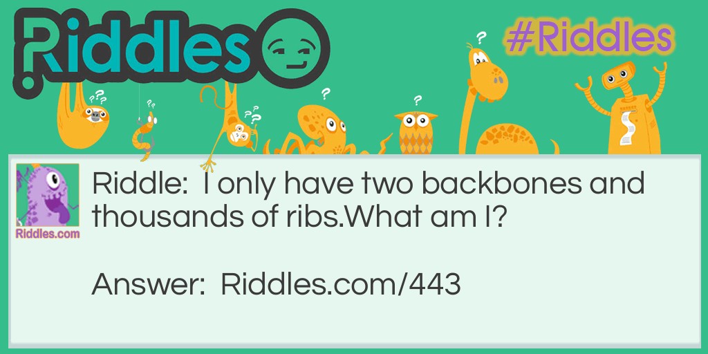 I only have two backbones and thousands of ribs. 
What am I?