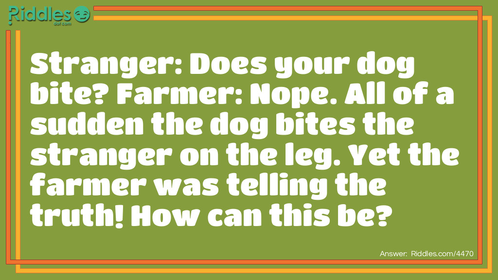 Stranger: Does your dog bite?
Farmer: Nope.
All of a sudden the dog bites the stranger on the leg. Yet the farmer was telling the truth! How can this be?