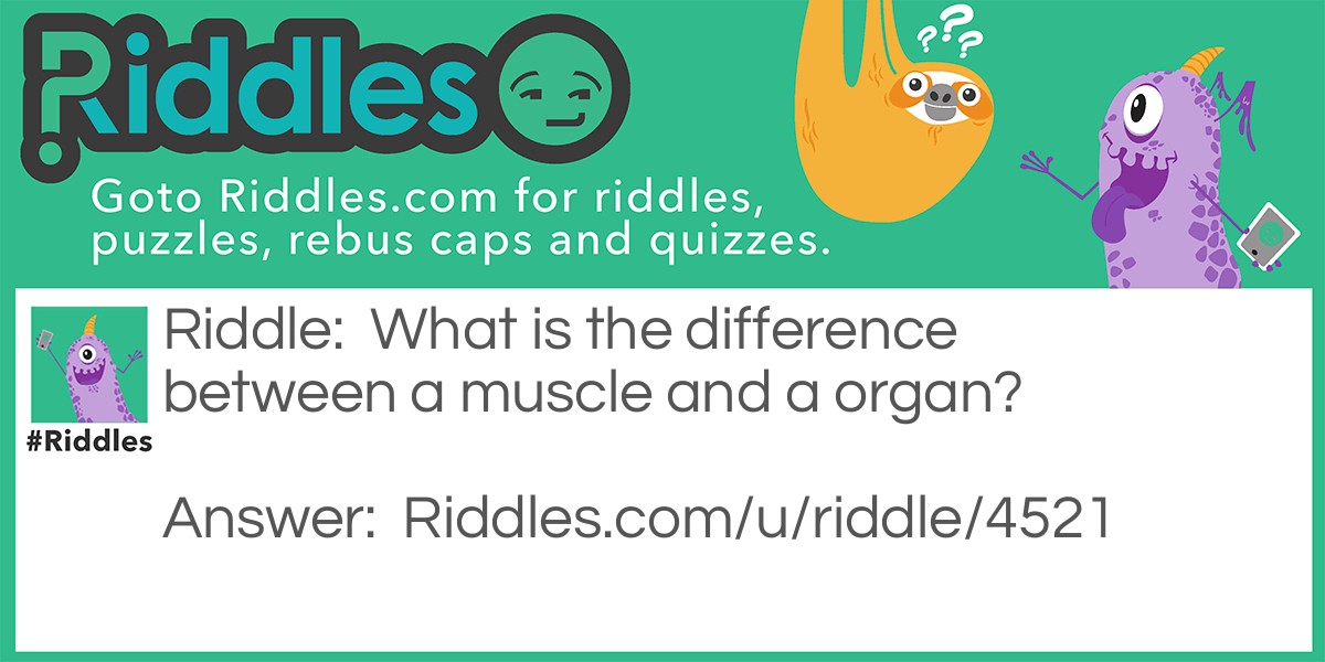 What is the difference between a muscle and a organ?