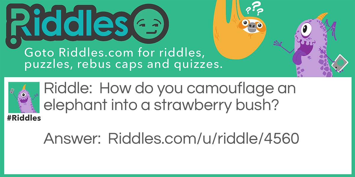 Elephants in strawberry bushes.  Riddle Meme.