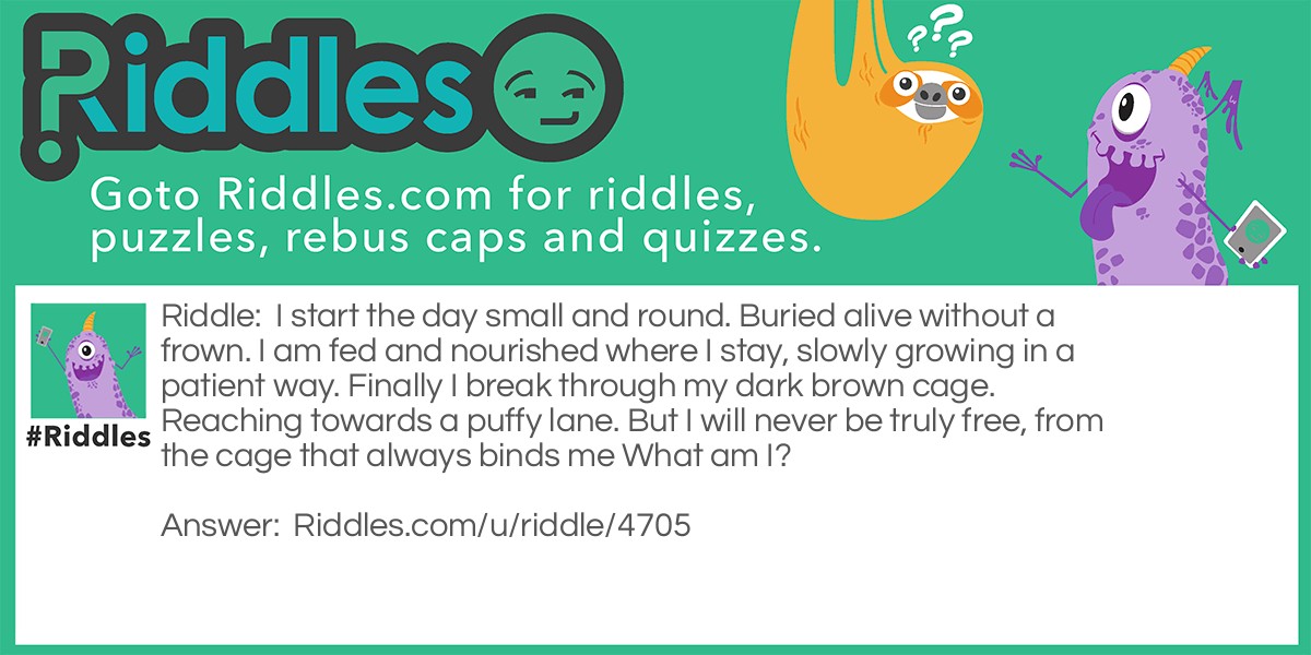 Buried Alive Riddle Meme.