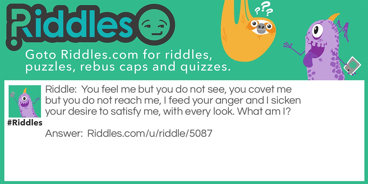 You feel me but you do not see, you covet me but you do not reach me, I feed your anger and I sicken your desire to satisfy me, with every look. What am I?