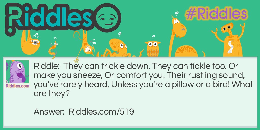 They can trickle down, They can tickle too. Or make you sneeze, Or comfort you. Their rustling sound, you've rarely heard, Unless you're a pillow or a bird! What are they?