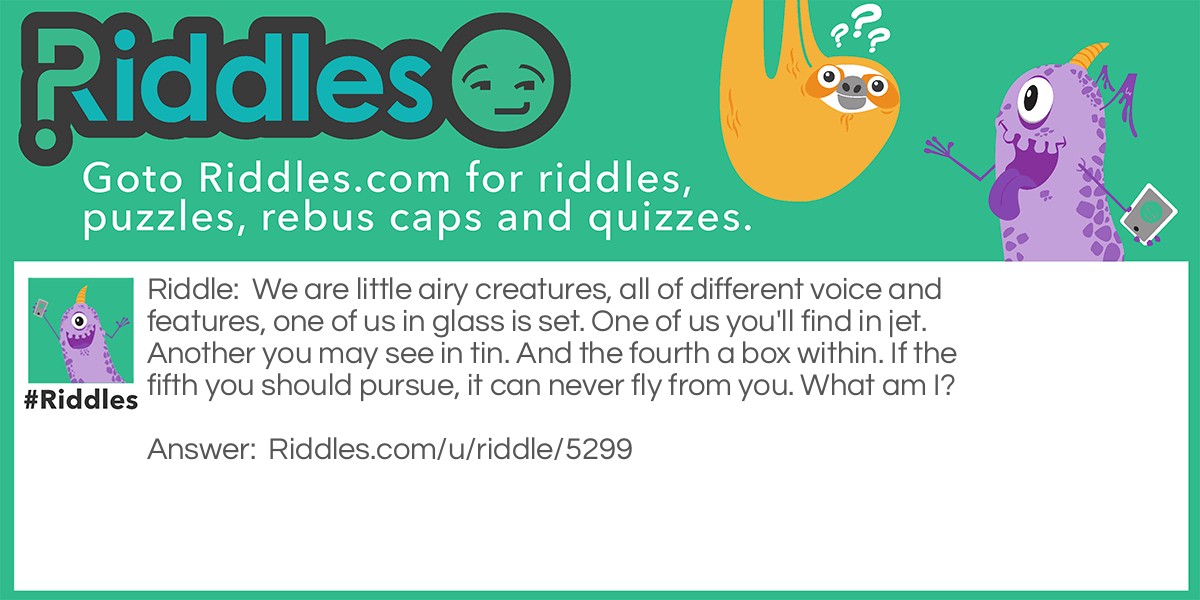 We are Little Airy Creatures... | What Am I? Riddle Meme.