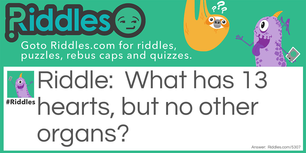 Organs and stuff Riddle Meme.