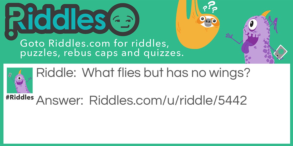 Flies without Wings Riddle Meme.