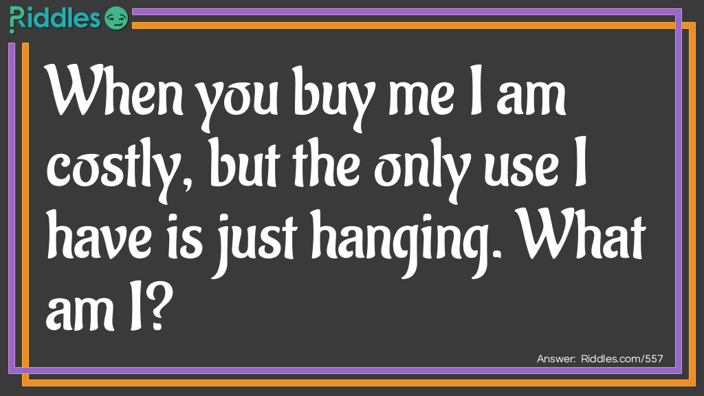 When you buy me I am costly, but the only use I have is just hanging. 
What am I?