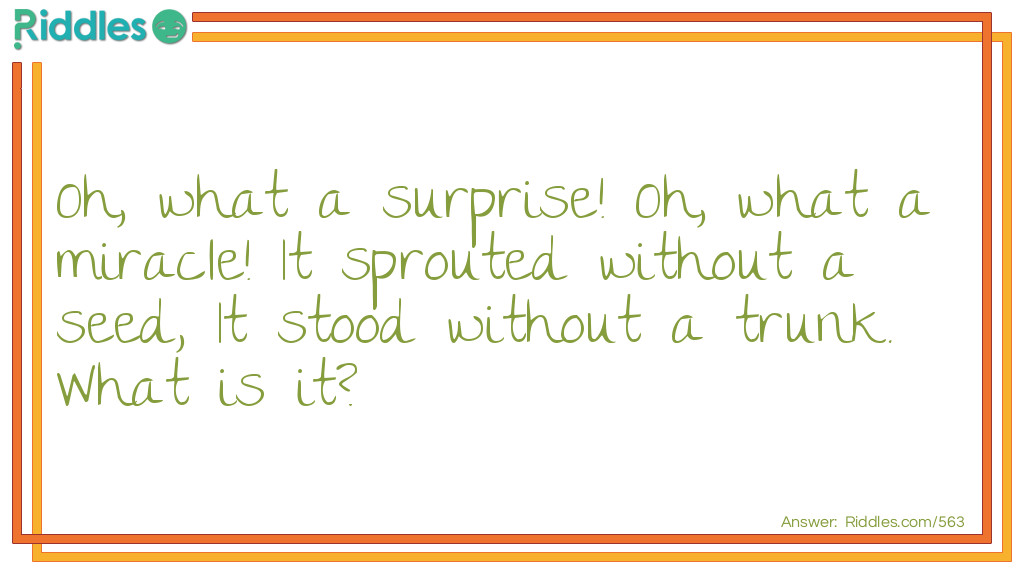 Oh, what a surprise! Oh, what a miracle! It sprouted without a seed, It stood without a trunk. What is it?